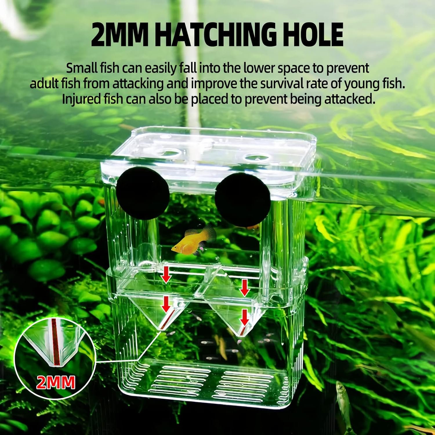 Plastic Fish Tank Box - 图片 3
